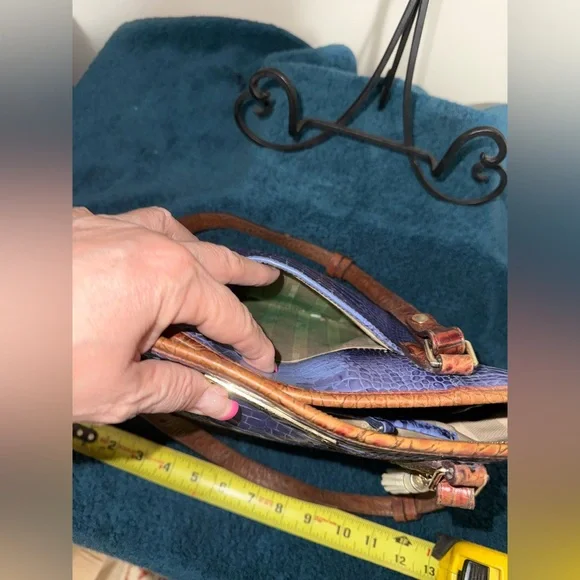 Brahmin - Picture 7 of 7